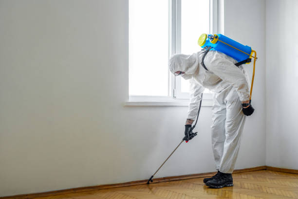 Best Emergency Pest Control  in Spotsylnia Courthouse, VA