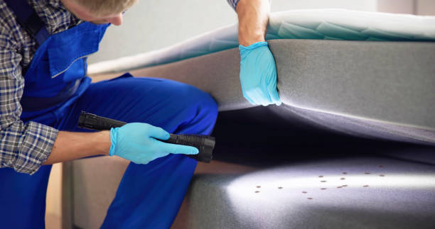 Best Pest Removal Services  in Spotsylnia Courthouse, VA