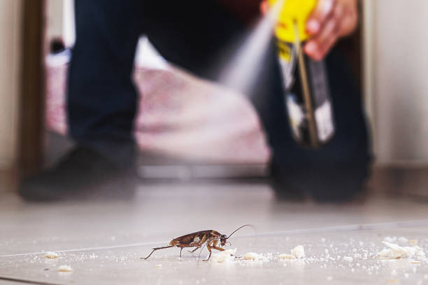 Best Residential Pest Control  in Spotsylnia Courthouse, VA