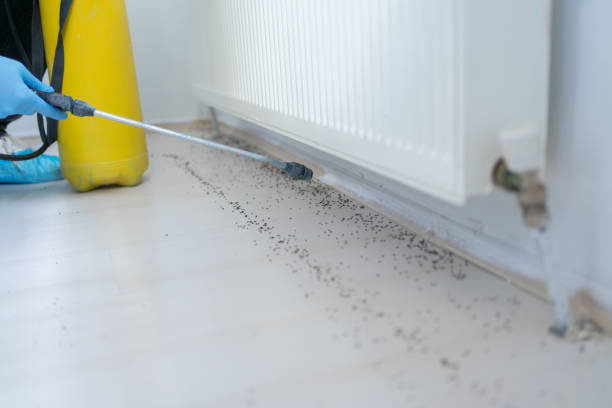 Best Exterminator Services  in Spotsylnia Courthouse, VA