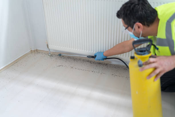 Best Local Pest Control Services  in Spotsylnia Courthouse, VA