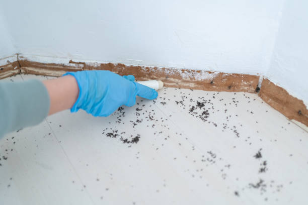  Spotsylnia Courthouse, VA Pest Control Pros