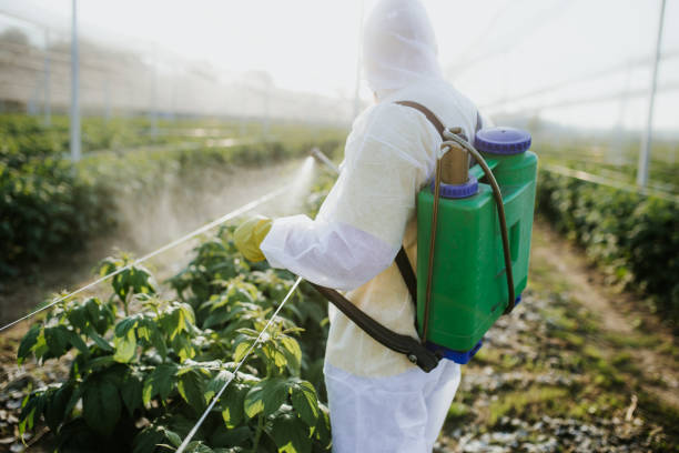 Best Best Pest Control Companies  in Spotsylnia Courthouse, VA